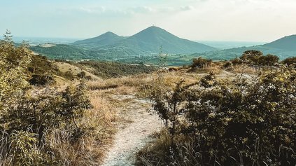 Colli Euganei