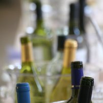 Weinfest Terra dei Dogi in Portoguraro