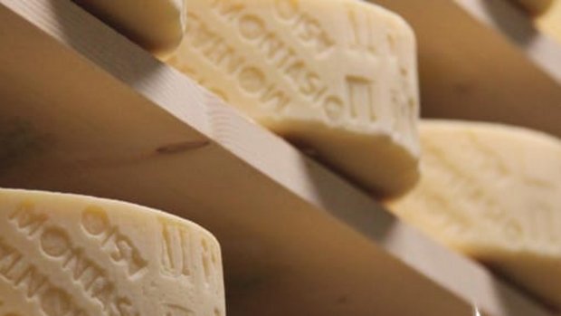 Montasio cheese
