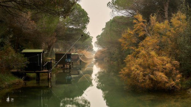 Pineta von Cervia