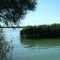 Vista Laguna