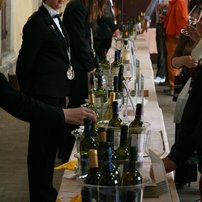 Weinfest Terra dei Dogi