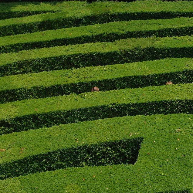 Im Irrgarten der Villa Pisani (Stra) Im Irrgarten der Villa Pisani (Stra)