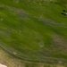 Golf Club