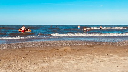 Hundestrand Hundestrand