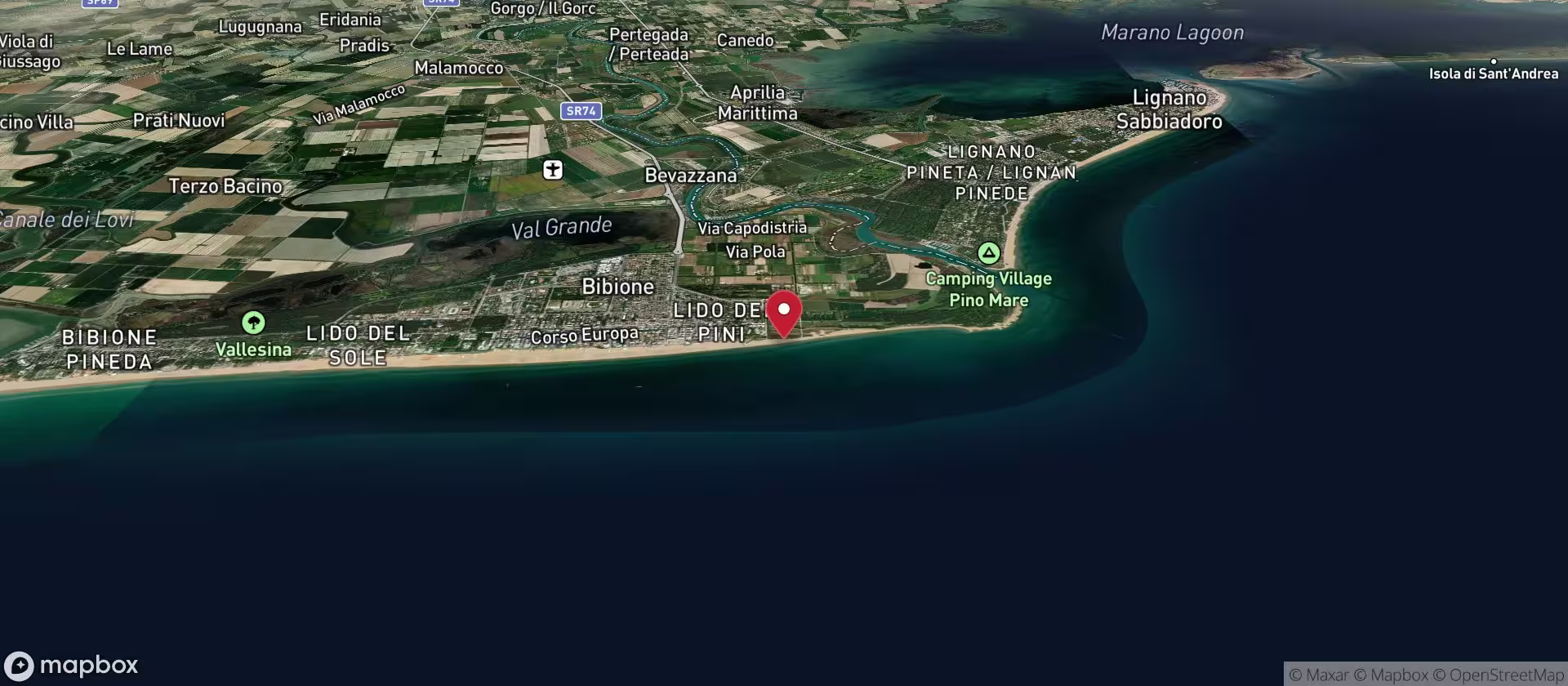 Pluto (and Goofy) Beach