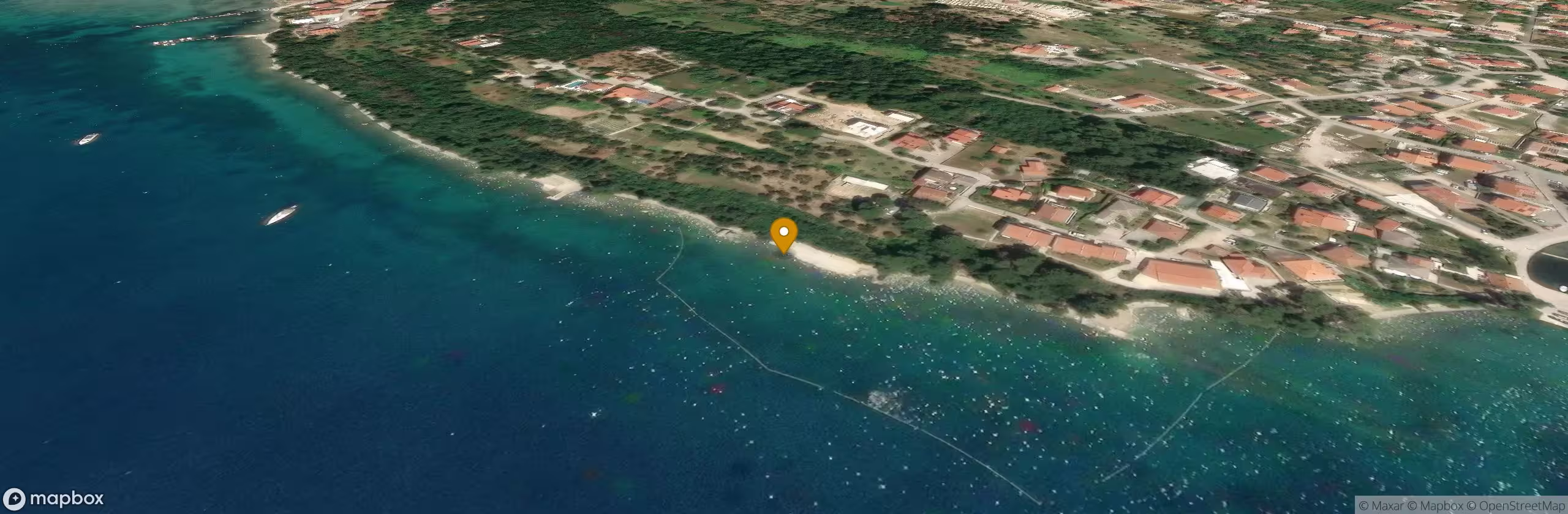 Palit - Dog Beach