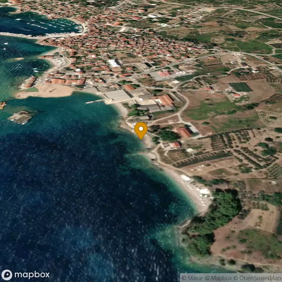 Dog Beach Vartalac