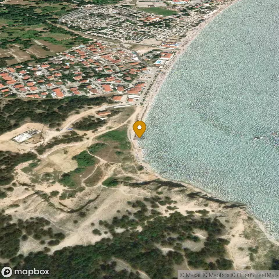 Zarok Dog Beach