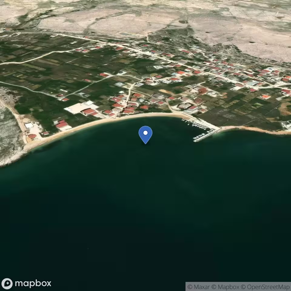 Zubovići